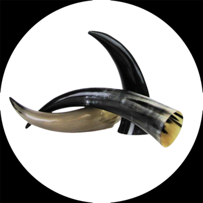 1678689878_Drinking_Horn_02 (1)