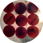 1662284880_Cattle_horn_button_blanks_2-1.png