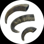 1678529596_Drinking_Horn_Unpolished_03.jpg