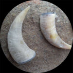 1678529767_Drinking_Horn_Unpolished.jpg